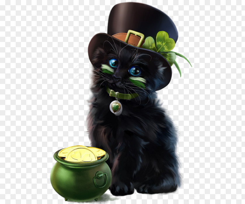Saint Patrick Black Cat Kitten Whiskers Snout PNG