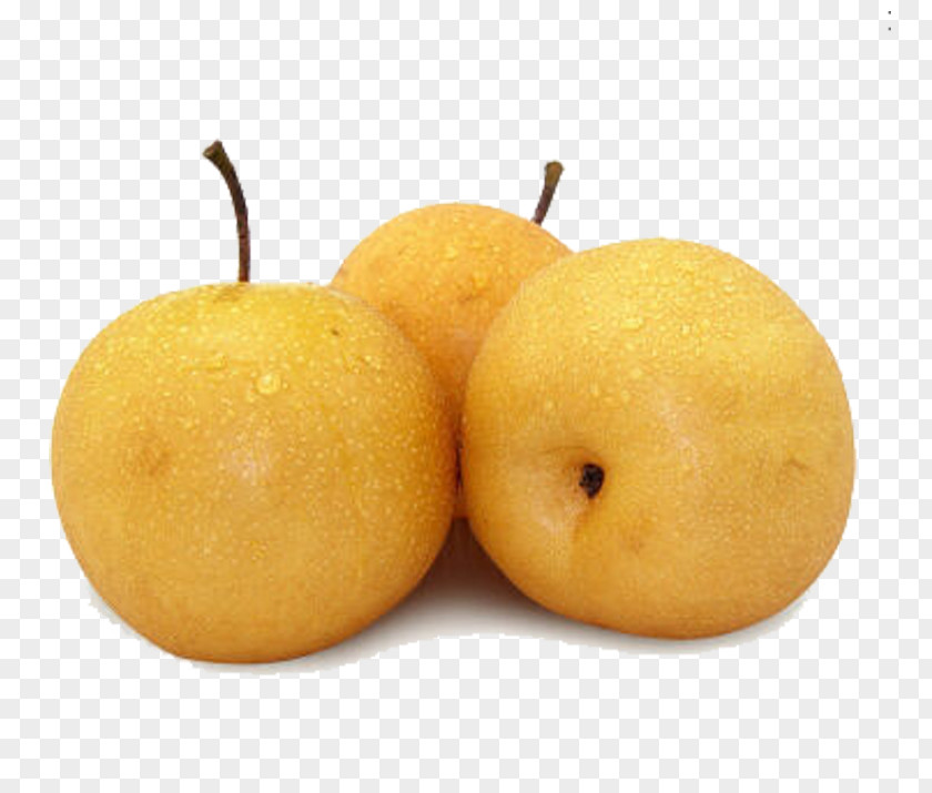 Three Pears Asian Pear Laiyang Fruit Brand Auglis PNG