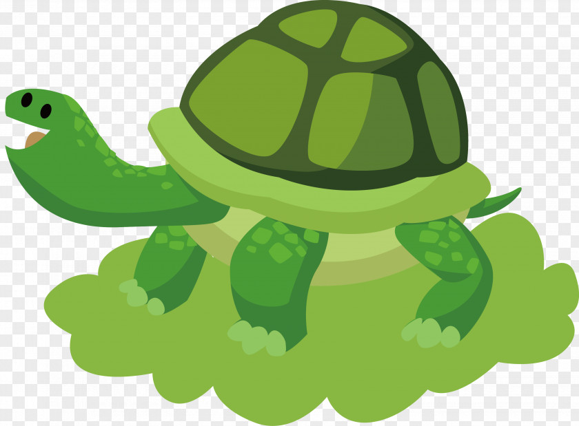 Turtle Vector Birthday Cake Wish Card Greeting PNG