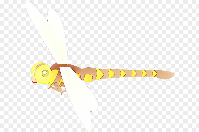 Wing Costume Accessory Yellow Background PNG