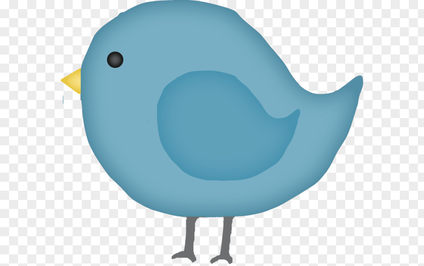 Bird Eastern Bluebird Clip Art PNG