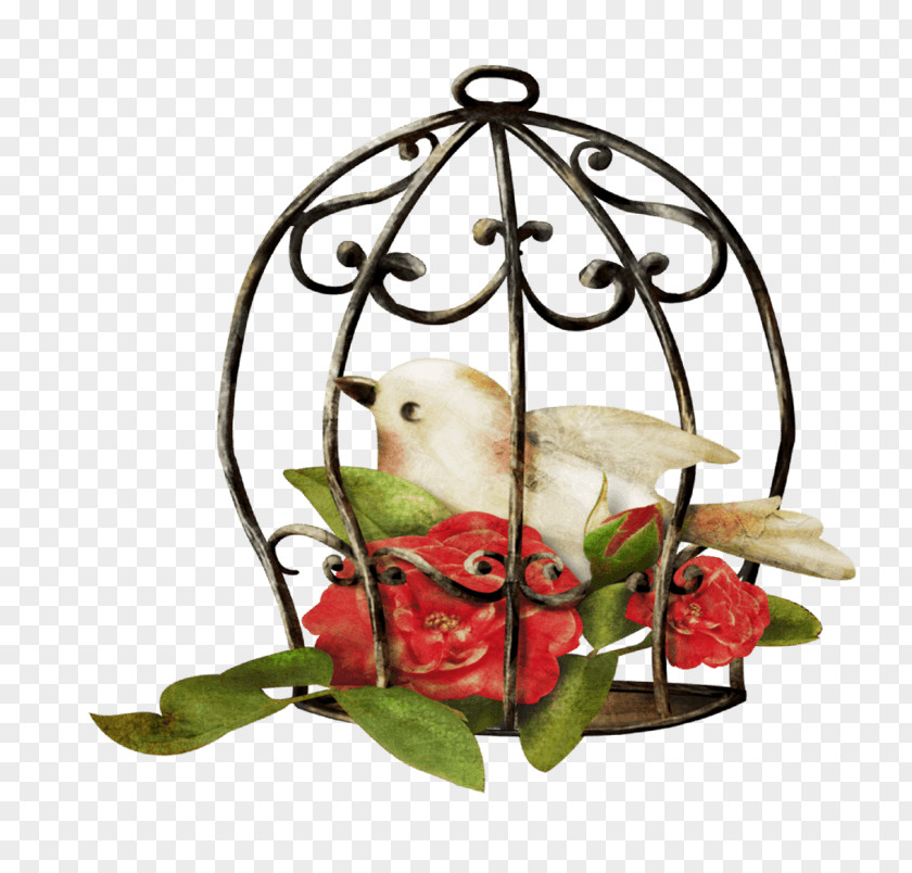 Birdcage Cartoon Image PNG