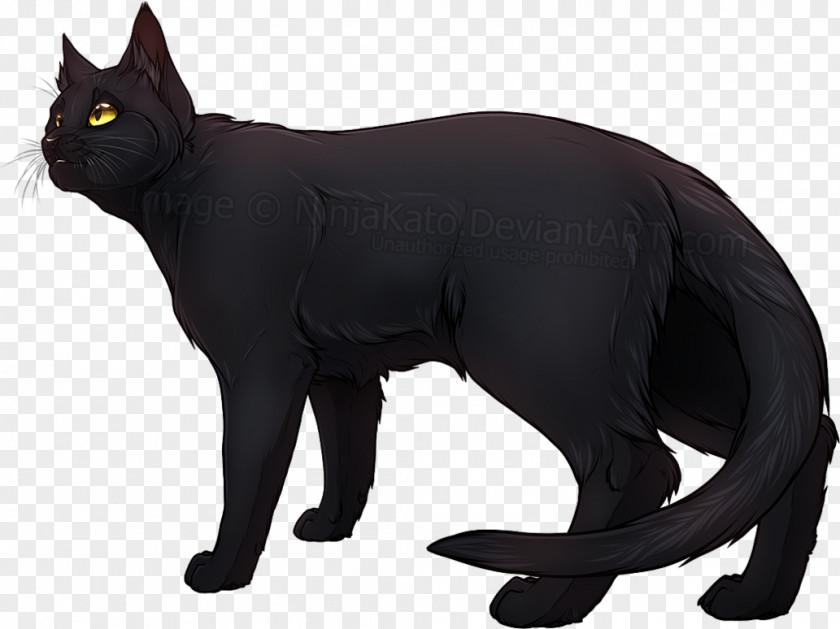 Black Cat Bombay Art Domestic Short-haired Whiskers PNG