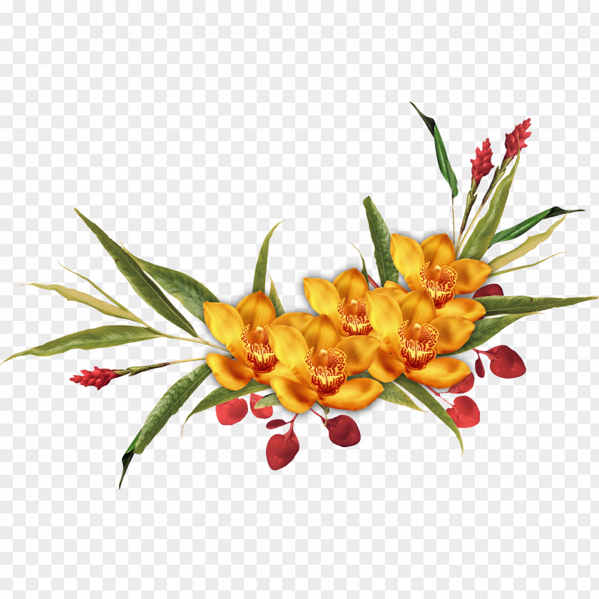 Floral Decoration Pattern Picture Frame Clip Art PNG