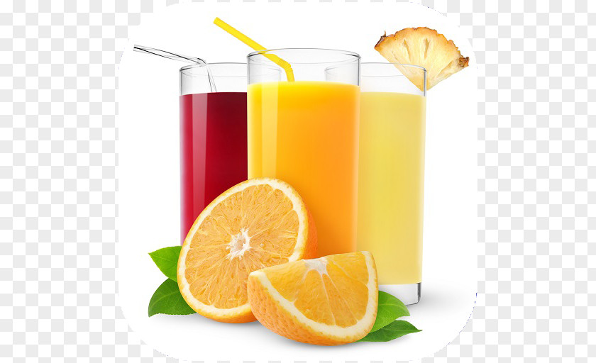 Juice Orange Smoothie Punch Fizzy Drinks PNG
