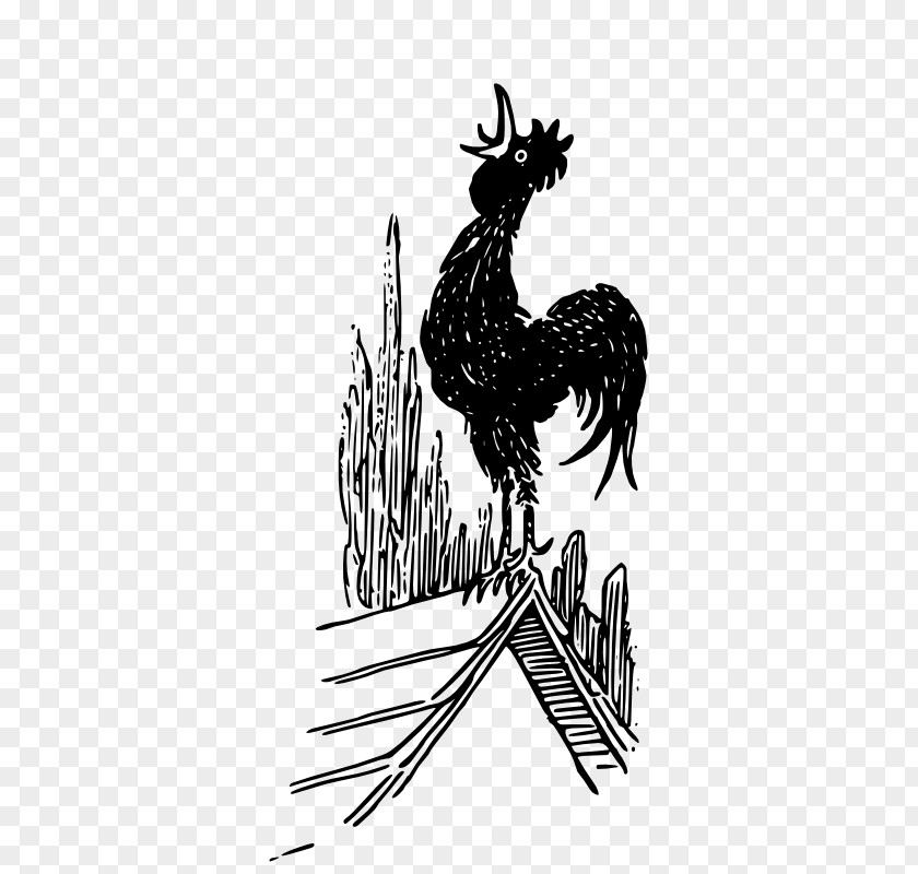 Picture Of A Rooster Moon Face Clip Art PNG