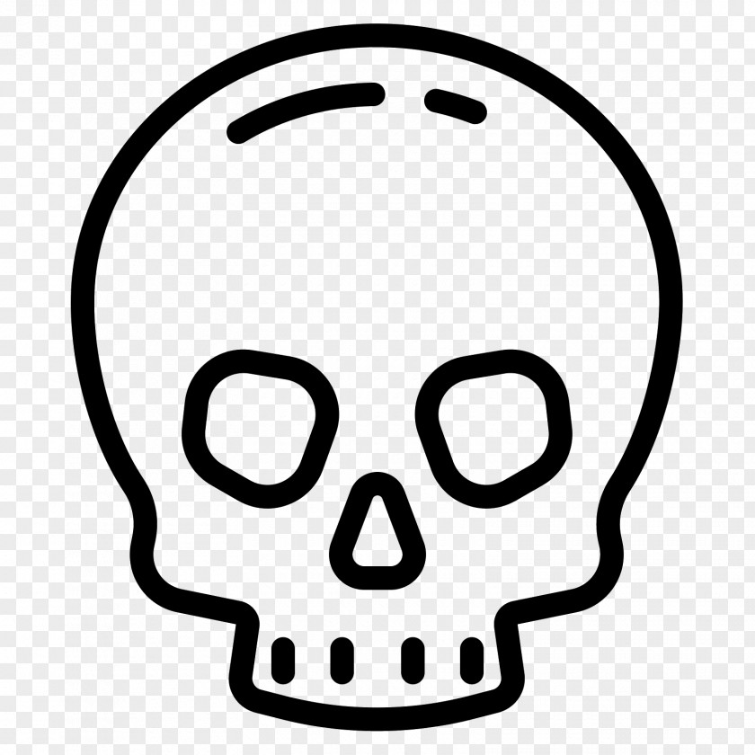 Skull Anatomy Clip Art PNG