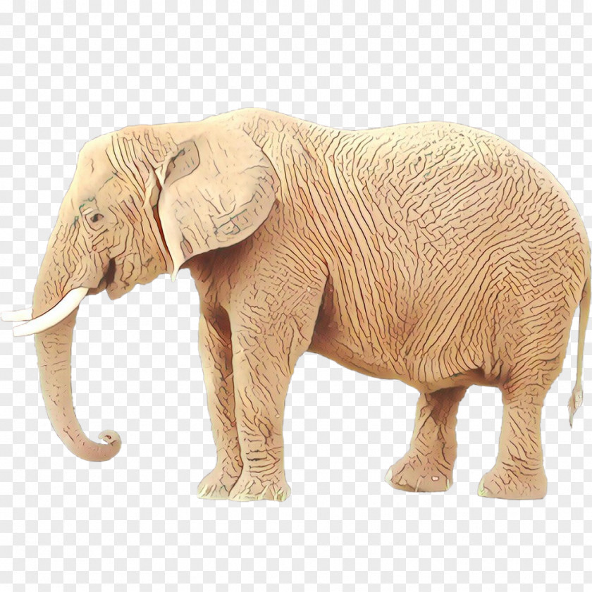 African Elephant Indian Tusk Terrestrial Animal PNG