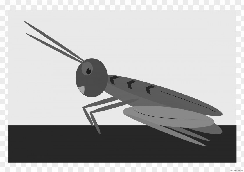 Jiminy Cricket Crickets Chirping Sound Effect PNG