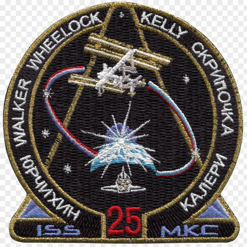 Nasa International Space Station Johnson Center Mission Patch Expedition 50 Shuttle Challenger Disaster PNG