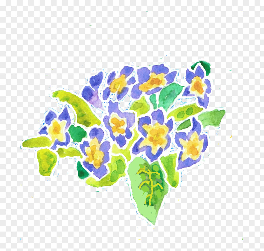 Primrose Floral Design Violet Art Plant PNG