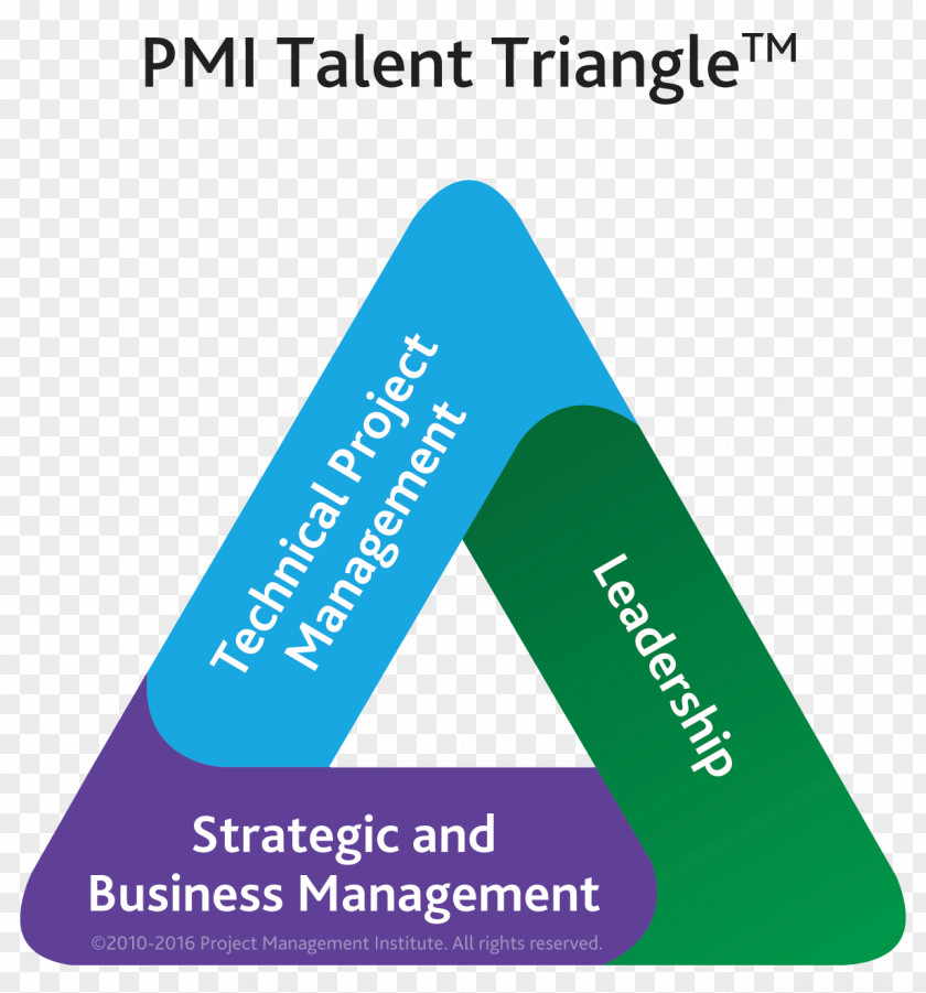 Project Management Body Of Knowledge Institute Professional Manager PNG of manager, management project clipart PNG