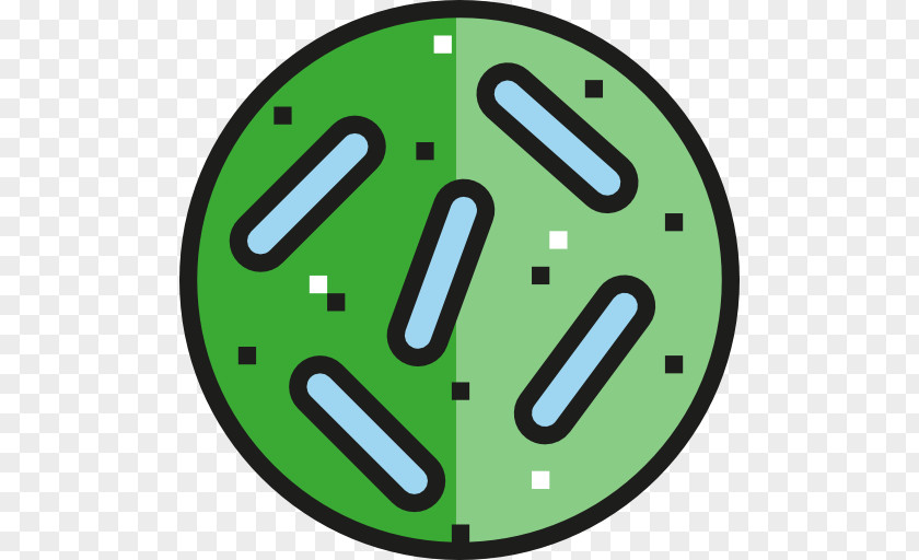 Bacterial Bacteria Gut Flora PNG
