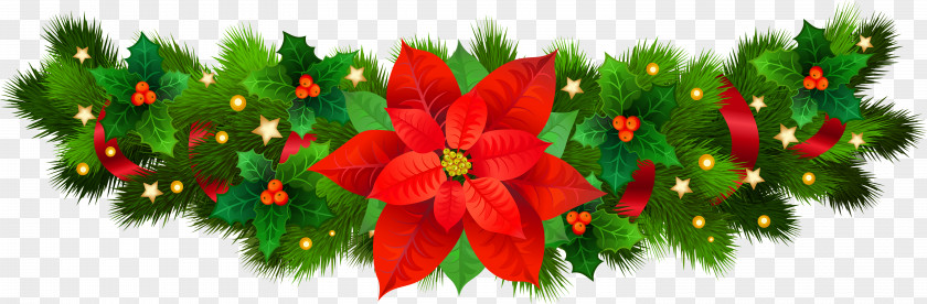 Christmas Decorative With Poinsettia Clip Art Image Eve PNG