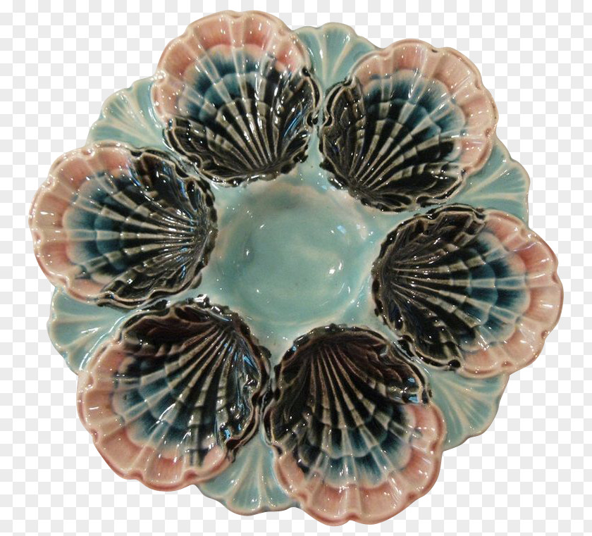 Cockle Platter Turquoise PNG