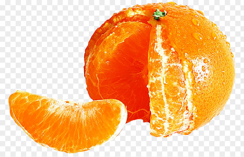 Grapefruit Clementine Mandarin Orange Tangerine Bitter Tangelo PNG