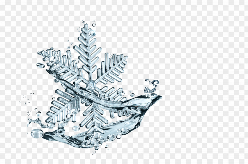 Ice Snowflakes Download PNG