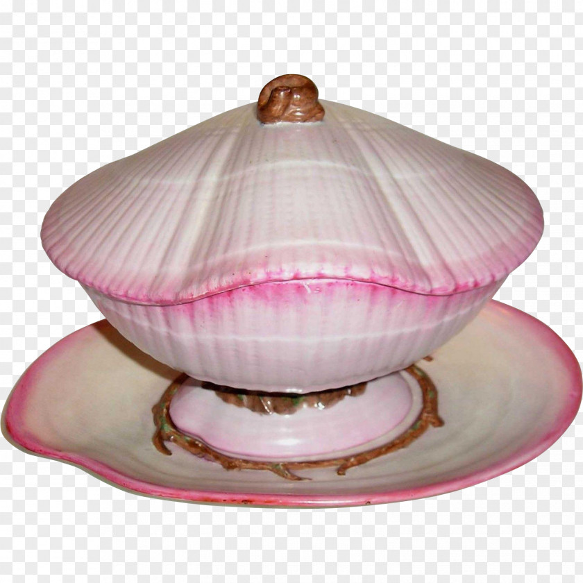 Plate Porcelain Seashell Nautilidae Gravy Boats PNG