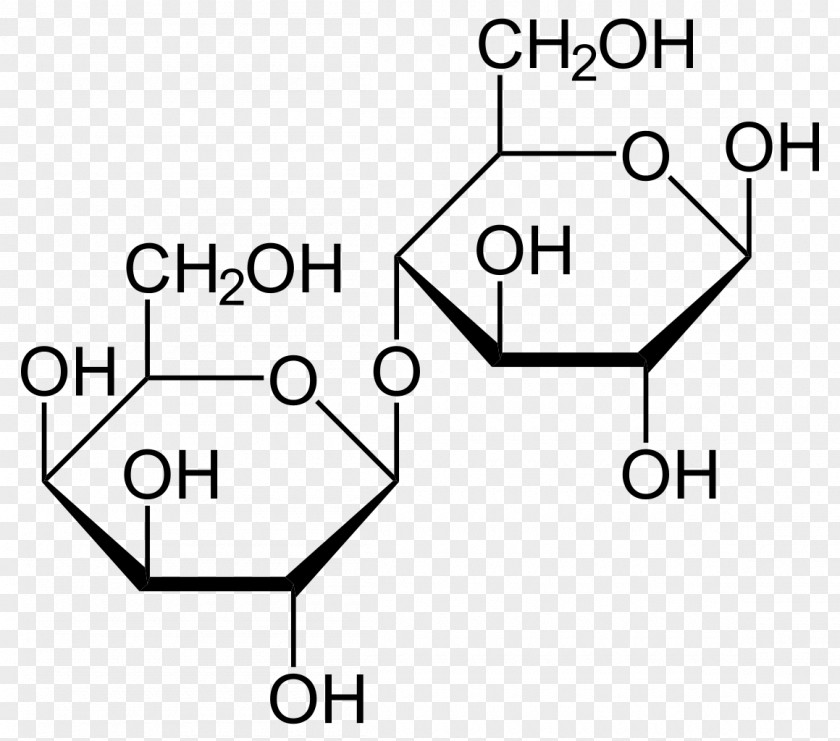 Syringe Milk Lactose Intolerance Lactase Galactose PNG