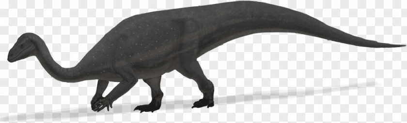Cat Mussaurus Plateosaurus Dinosaur Sauropoda PNG