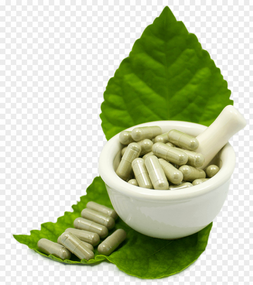 Digestive Dietary Supplement Alternative Health Services Capsule Herbalism Pharmaceutical Drug PNG