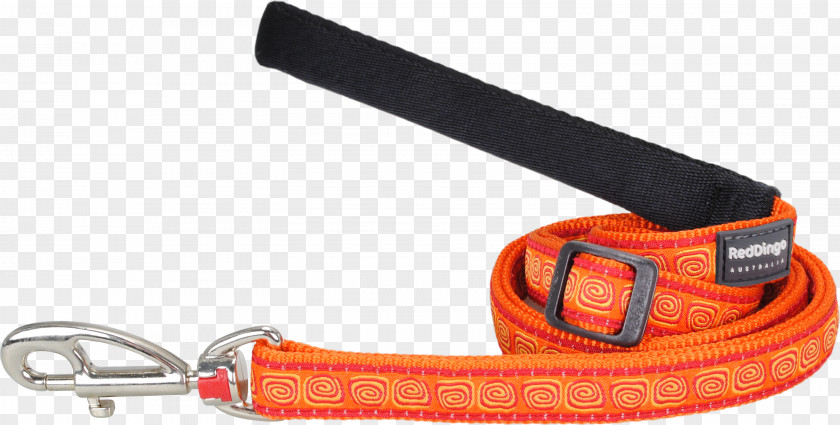 Dog Leash Collar Orange Strap PNG