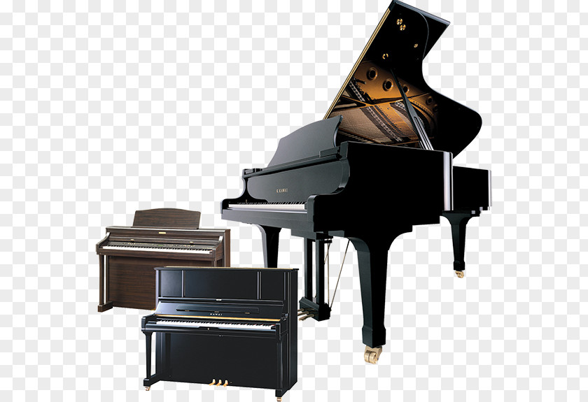 Piano Digital Tuning Player Musical PNG