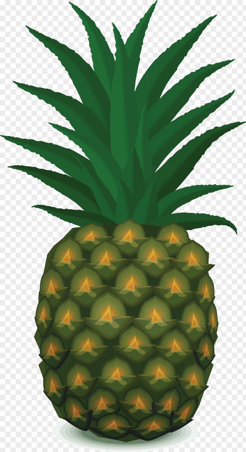 Pineapple Image Download Fruit Salad Clip Art PNG