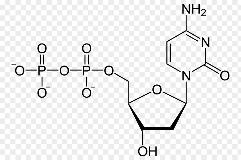 Uridine Diphosphate Triphosphate Adenosine Pyrophosphate PNG