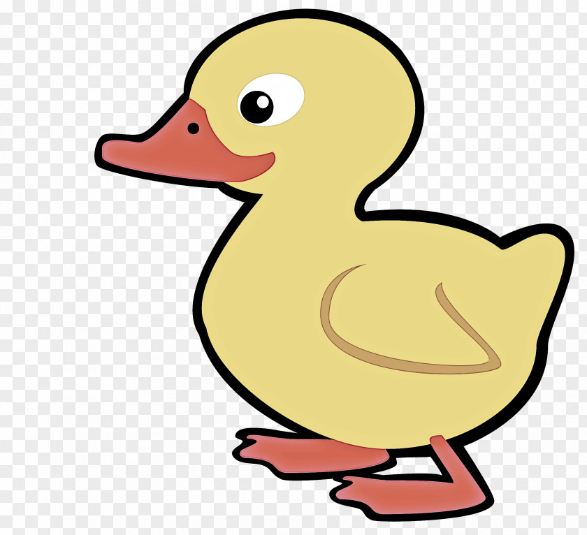 Goose Yellow Duck Bird Ducks, Geese And Swans Water Beak PNG