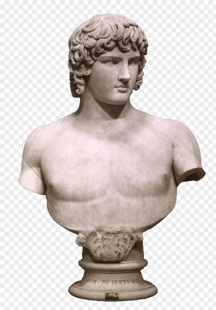 Statue Antinous Vatican Museums Pio-Clementino Museum Hermes Bust PNG