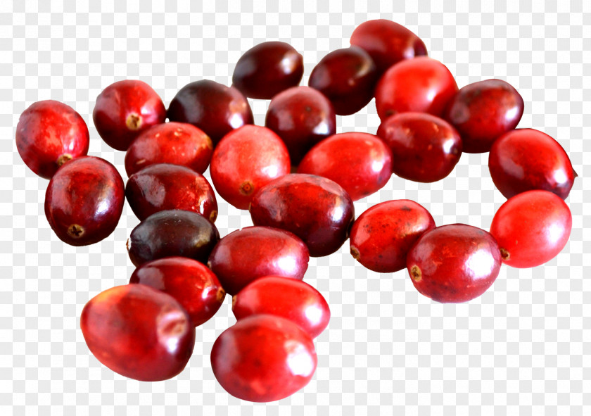 Cranberry Frutti Di Bosco Redcurrant Lingonberry Nutrition PNG