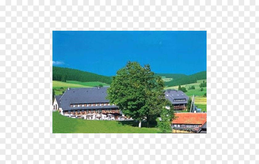 Feldberg Im Schwarzwald Hinterzarten Breitnau Hotel Hochfirst Garni Guest House PNG