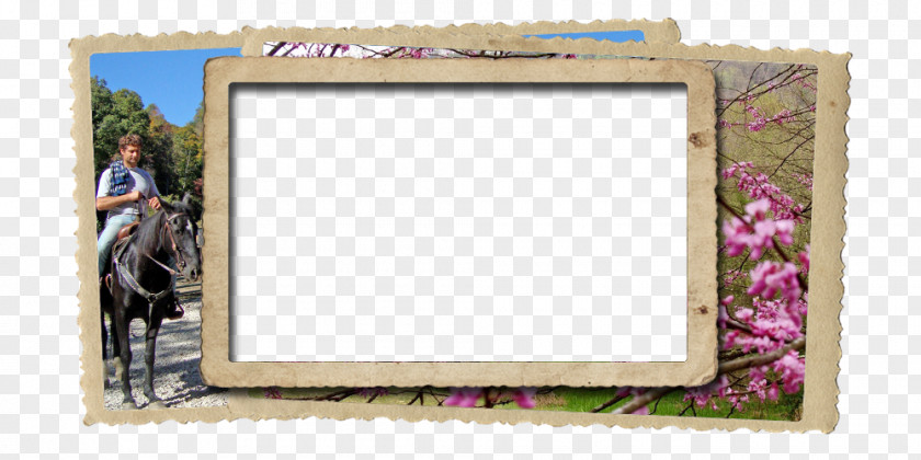 Marine Frame Picture Frames Square Meter PNG