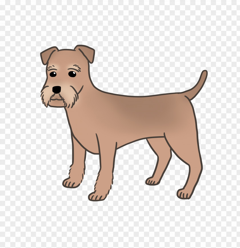 Puppy Dog Breed Irish Terrier American Pit Bull Rare (dog) PNG