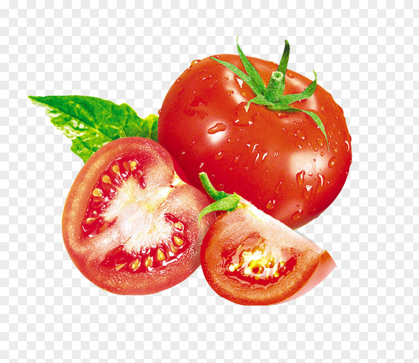Red Tomatoes Plum Tomato Bush Food Vegetable PNG