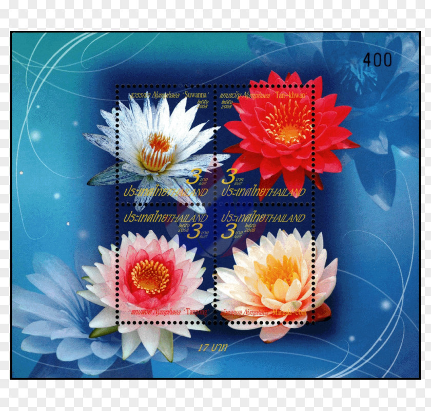 Water Lilly Postage Stamps ร้านแสตมป์เอซี Thai Baht Letter Tongdaeng PNG