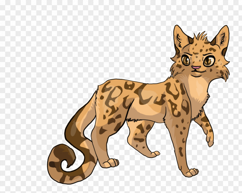 Cat Whiskers Wildcat Warriors Cheetah PNG