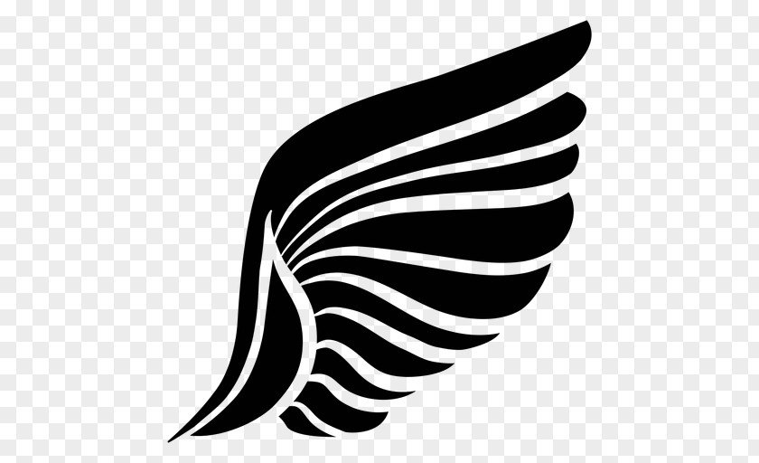 Feather Logo Silhouette Blackandwhite PNG