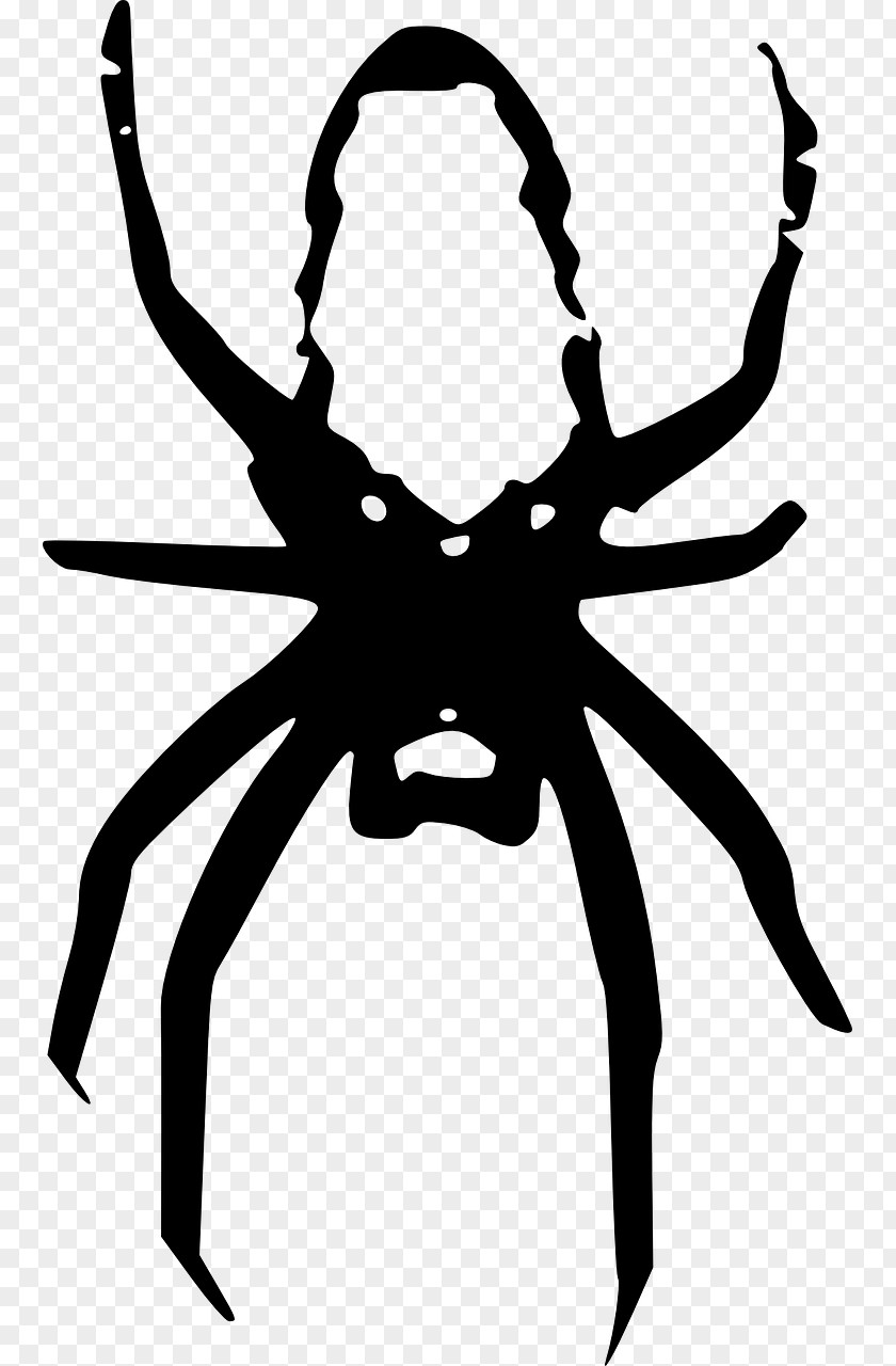 Spider Black And White Clip Art PNG