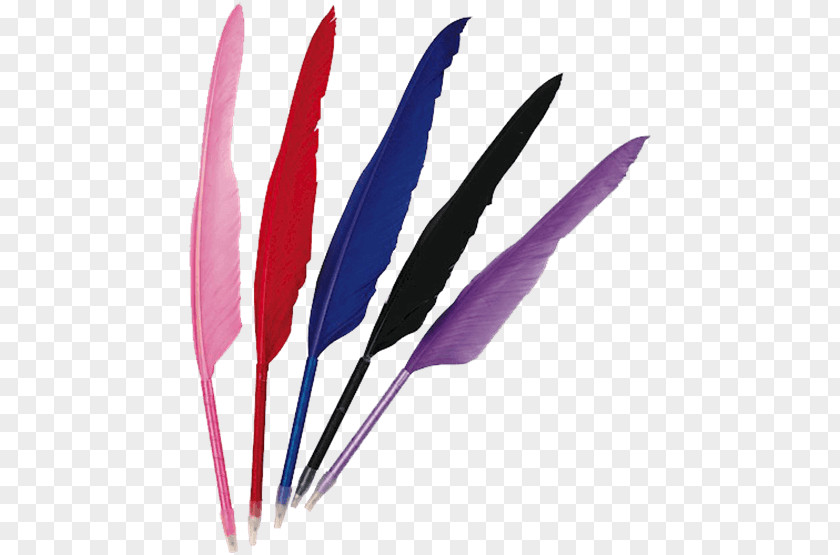 Feather Quill Ballpoint Pen Pencil PNG
