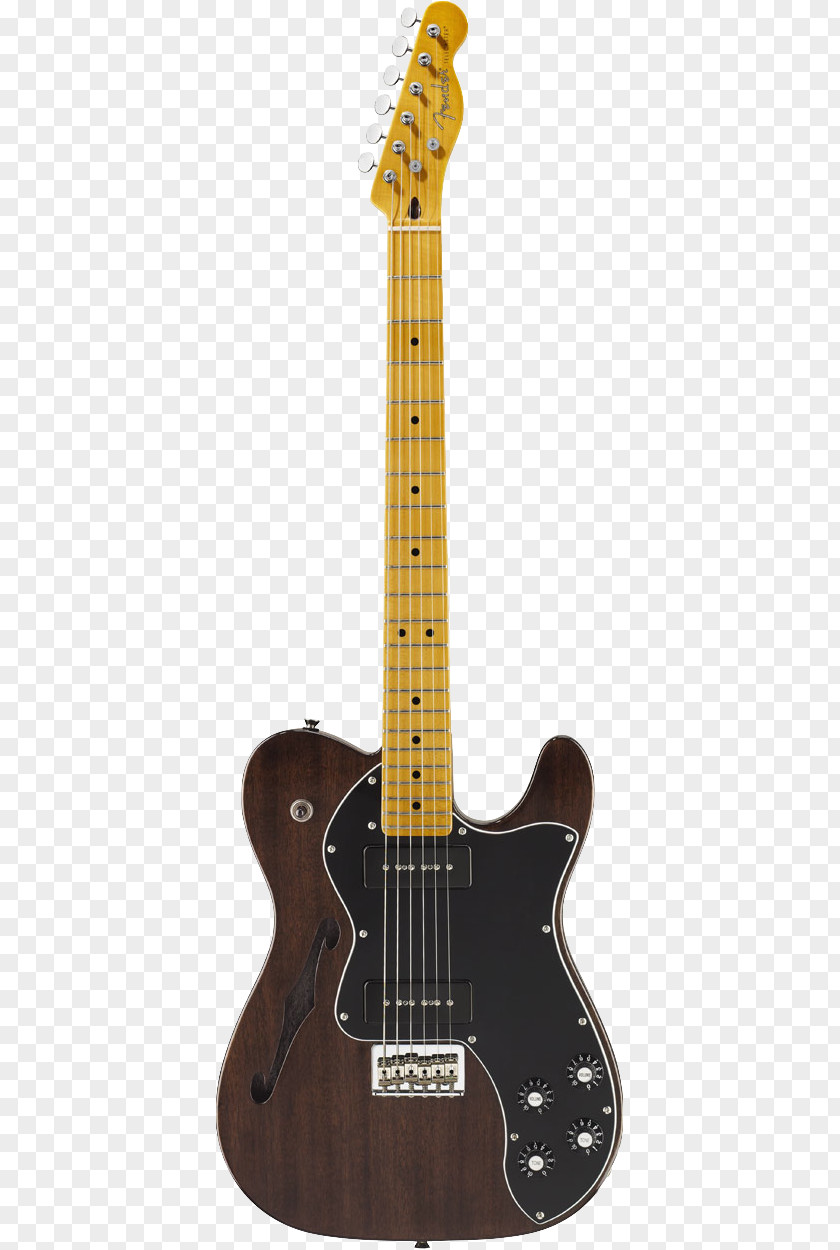 Fender Telecaster Thinline Stratocaster TC 90 Jag-Stang PNG