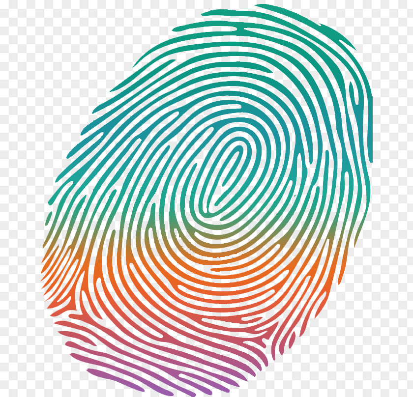 Fingerprint Royalty-free Clip Art PNG