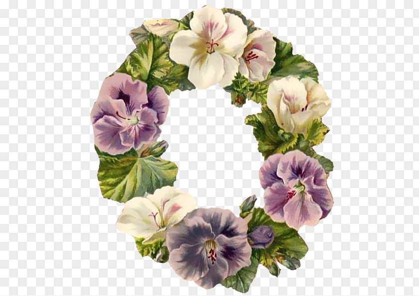 Flower Cut Flowers Floral Design Image PNG