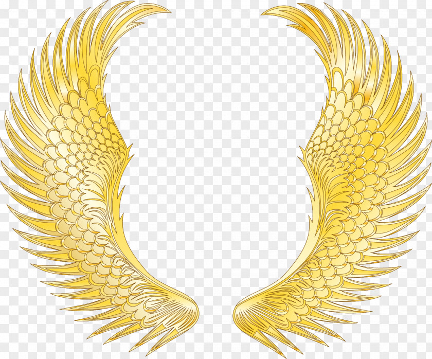 Gold Wings Texture Cool Game Computer File PNG