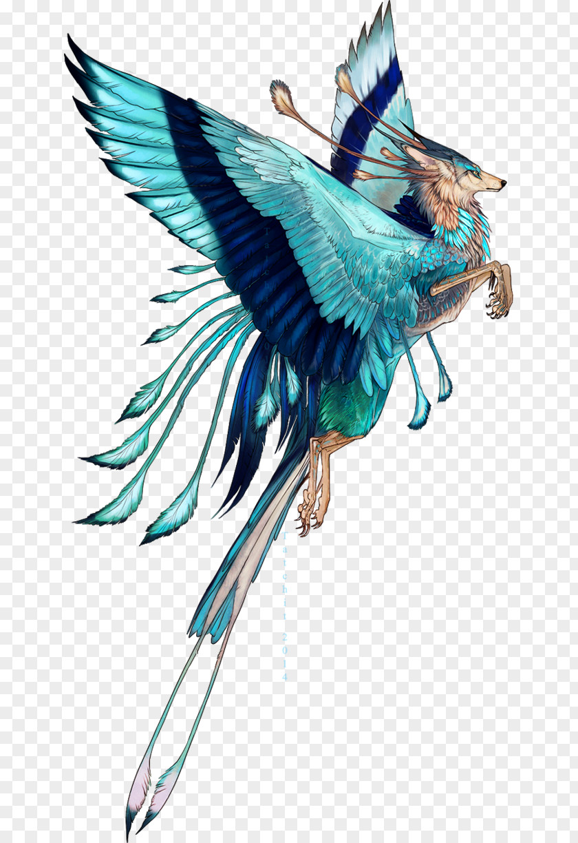 Indian Roller Bird Drawing World PNG