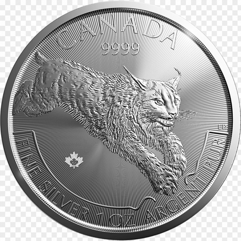 Silver Coin Canada Perth Mint Bullion PNG