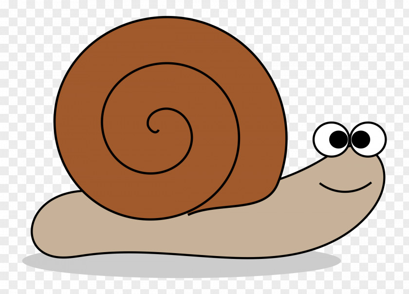 Snails Snail Download Clip Art PNG