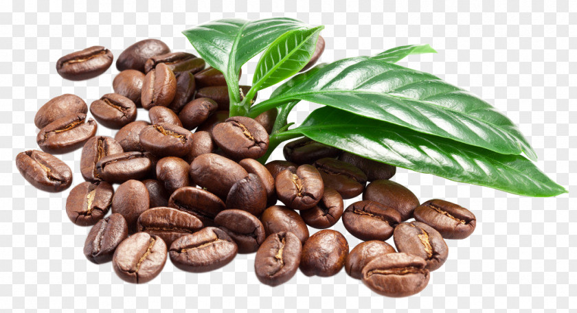 Coffee Bean Espresso Caffè Macchiato PNG