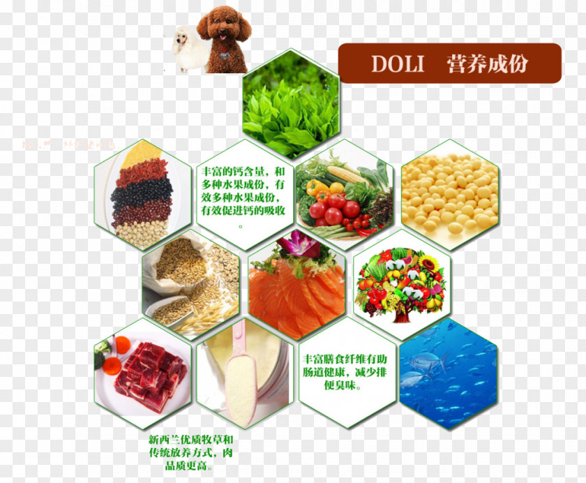 Food Composition Table PNG